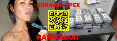 сатива Новодвинск
