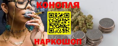 сатива Новодвинск