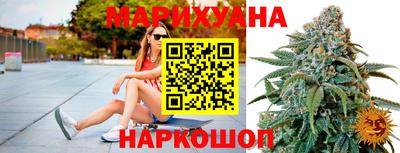 сатива Новодвинск
