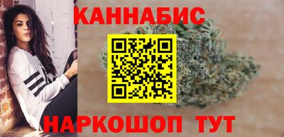 сатива Новодвинск