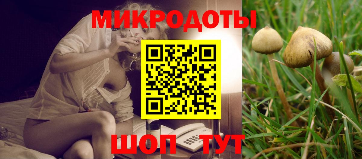 Галлюциногенные грибы мухоморы Краснотурьинск